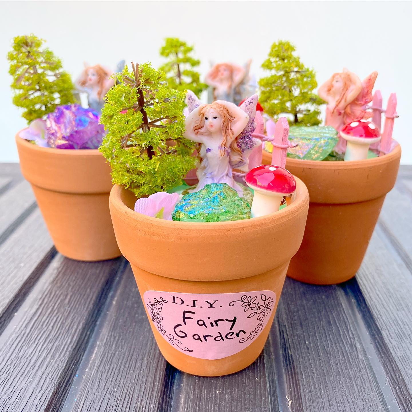 Mini Fairy 🧚 Crystal Garden Pot