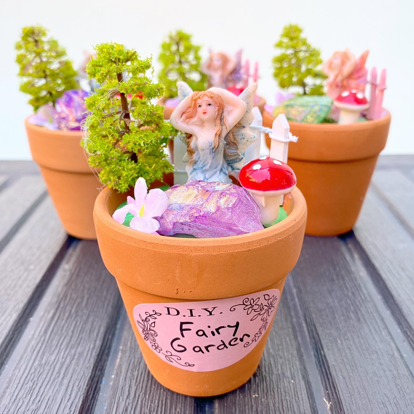 Mini Fairy 🧚 Crystal Garden Pot