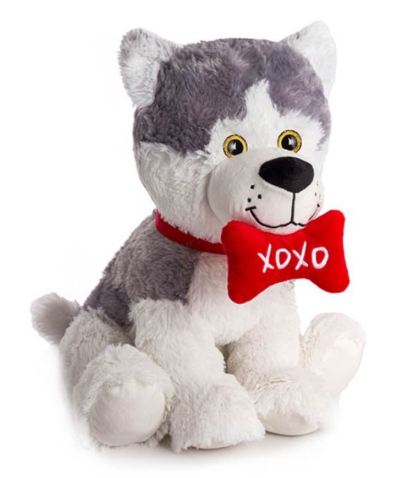 Mr Husky Puppy  🐶 with "Xoxo" Bone