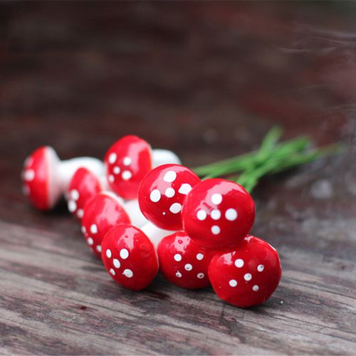 Single Miniature Craft Mushrooms