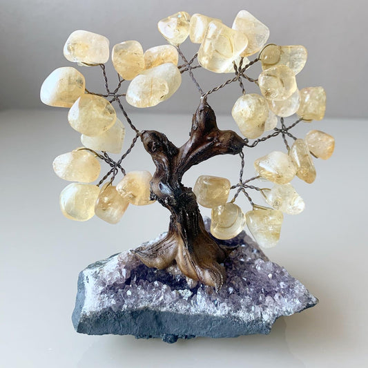 Citrine Crystal Tree on Amethyst Base