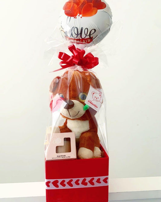 Lola Bear 🧸 Valentine Gift